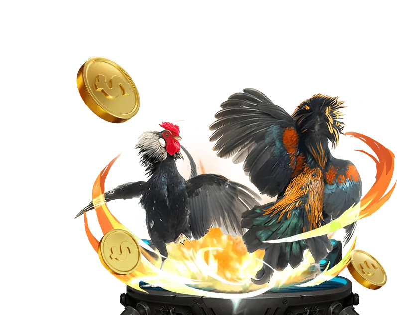 Cá cược bóng rổ HL8